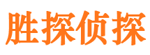 镜湖侦探公司